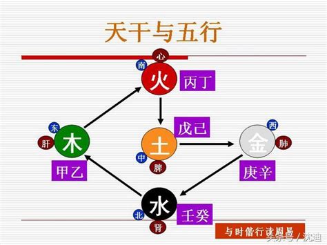 甲木乙木丙火丁火怎麼算|第17課十天干顏色、陰陽、五行方位、屬性、轉換關係等（珍藏。